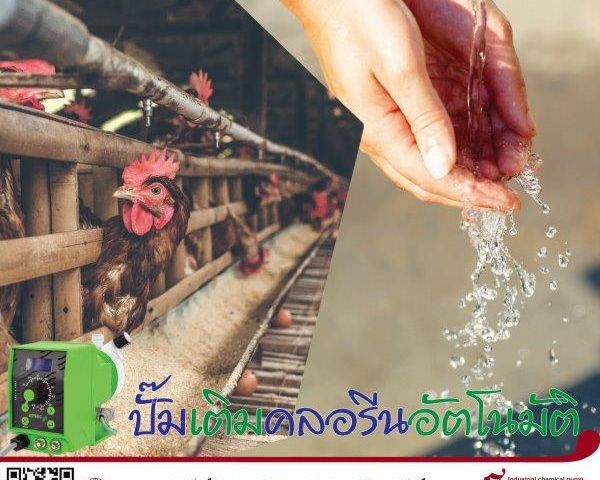 น้ำสะอาด ปัจจัยสำคัญสำหรับคนทำฟาร์มเลี้ยงไก่