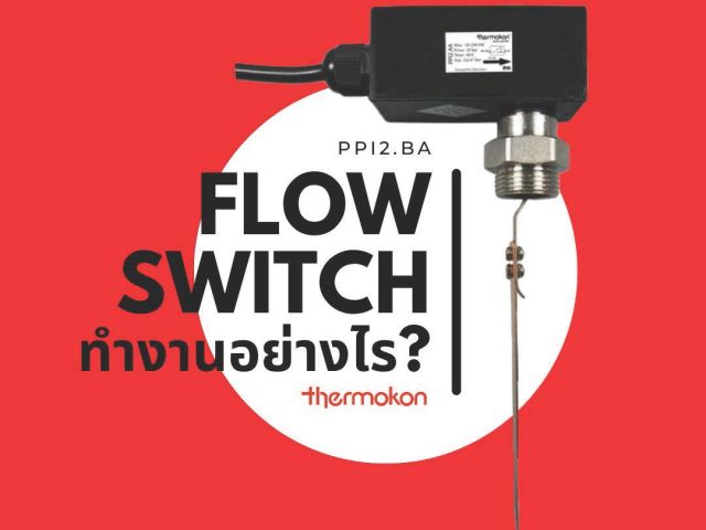 จำหน่าย Flow Switch PPI2BA ยี่ห้อ Thermokon